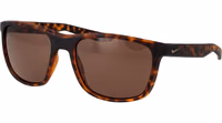 Brown Plastic Sunglasses 1