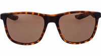 Brown Plastic Sunglasses 2