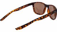 Brown Plastic Sunglasses 3