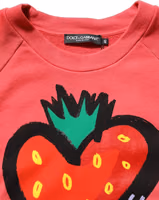Multicolor StrawberryPrint Sweatshirt Sweater 1