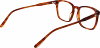 Brown Acetate Glasses (Frames) 3