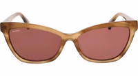 Brown Acetate Sunglasses 2