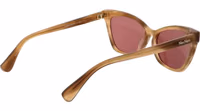 Brown Acetate Sunglasses 3