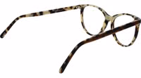 Brown Acetate Glasses (Frames) 3