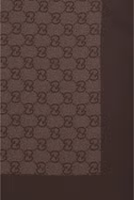 Brown Silk Foulard 3