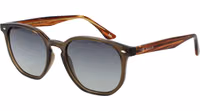 Brown Acetate Sunglasses 1