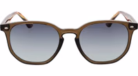 Brown Acetate Sunglasses 2