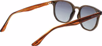 Brown Acetate Sunglasses 3
