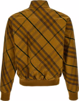 Bicolor Cotton Bomber 2