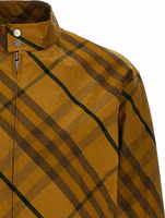 Bicolor Cotton Bomber 3