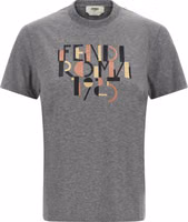 Gray Cotton T-Shirt 1