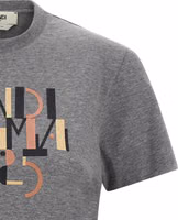 Gray Cotton T-Shirt 3
