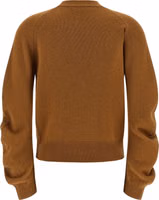 Brown Virgin Wool Cardigan 2