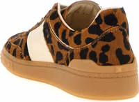 Brown Calfskin Low Top Sneakers 3