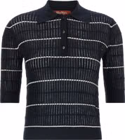 Blue Silk Polo Shirt 1