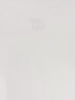 White Cotton T-Shirt 5