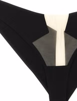 Black Nylon Briefs 3