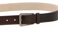 Brown Leather Regular Belt 3