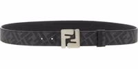 Multicolor Calfskin Regular Belt 2