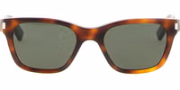 Brown Acetate Sunglasses 1