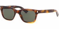 Brown Acetate Sunglasses 3