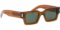Brown Acetate Sunglasses 2