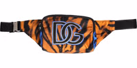 Brown Tiger Print Nylon Fanny Waist Pack Borse Men Bag 2