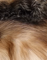 Brown Frost Fox Fur Neck Warmer Winter Scarf 2