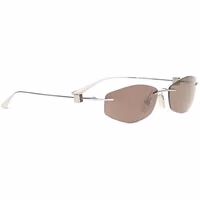 Silver Metal Sunglasses 2