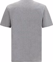 Gray Cotton T-Shirt 2