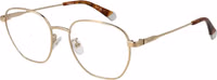 Gold Metal Glasses (Frames) 1