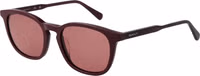 Purple Acetate Sunglasses 1