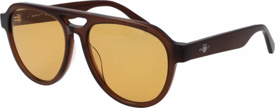 Brown Acetate Sunglasses