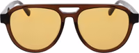 Brown Acetate Sunglasses 2