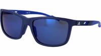 Blue Plastic Sunglasses 1