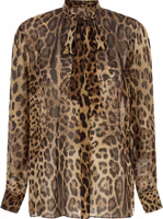Brown Silk Blouse 1