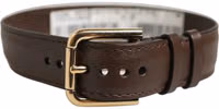 Brown Calfskin Leather Gold Buckle Belt Strap Bracelet 1