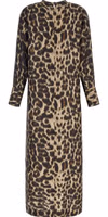 Brown Silk Long Dress 2