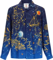 Blue Silk Blouse 1