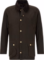 Brown Cotton Jacket 1