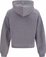 Gray Cotton Sweatshirt 2