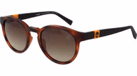 Brown Plastic Sunglasses 1