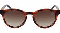 Brown Plastic Sunglasses 2