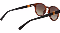 Brown Plastic Sunglasses 3