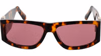Brown Acetate Sunglasses 2