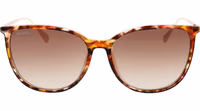 Brown Plastic Sunglasses 2