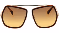 Brown Metal Sunglasses 2
