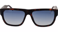 Brown Stainless Steel Sunglasses 2