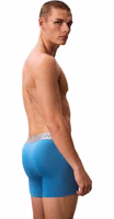 Gray Recycled Polyester Boxers 3