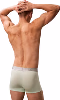 Gray Recycled Polyester Boxers 4